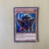 Big Shield Gardna