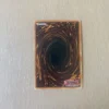 Big Shield Gardna
